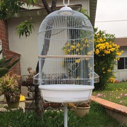 White Around Parrots Bird Cage With Stand 