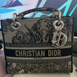 Christion Dior D-lite Bag