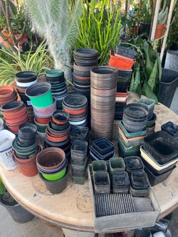 Pots 20 dlrs All