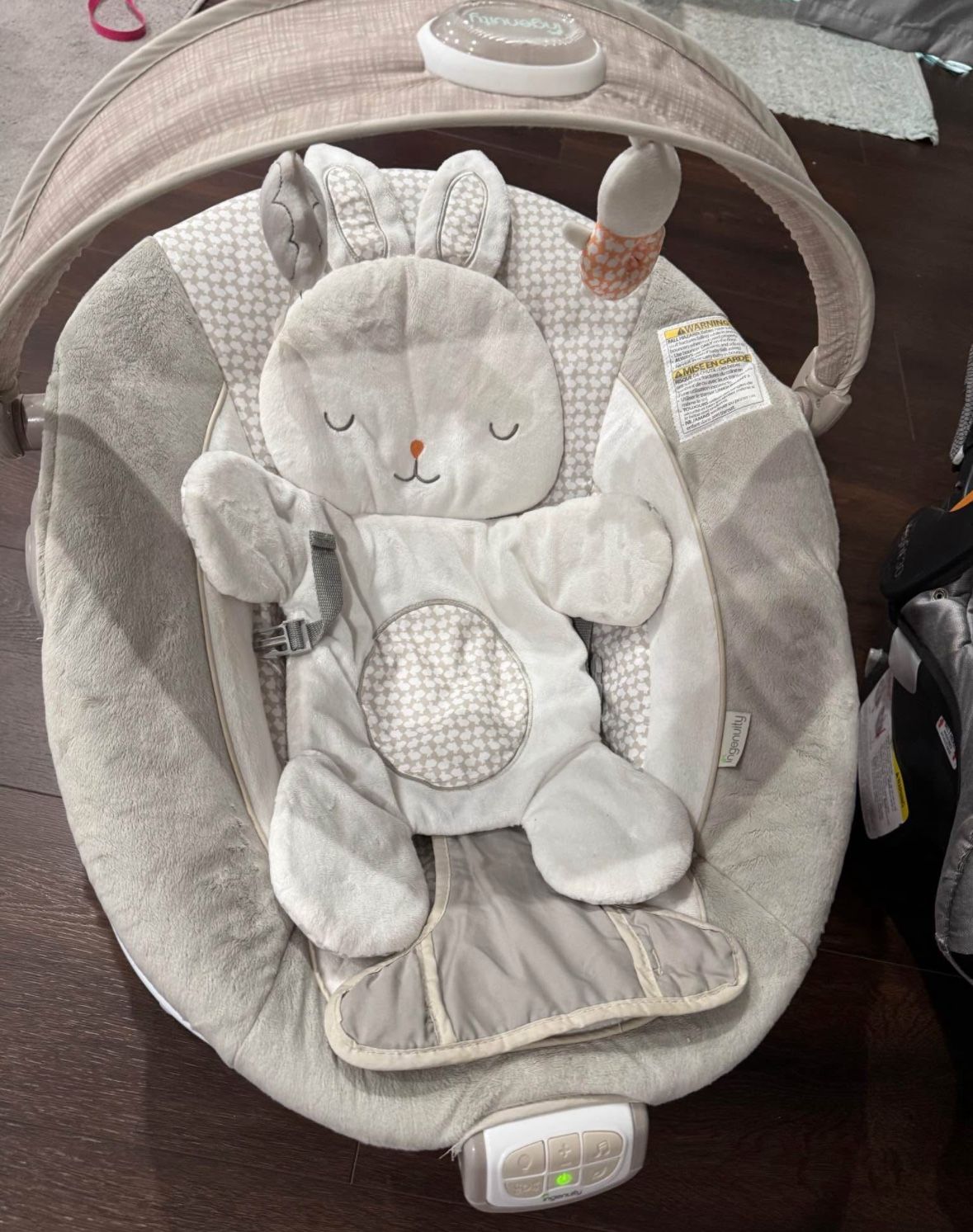 Baby Bouncer