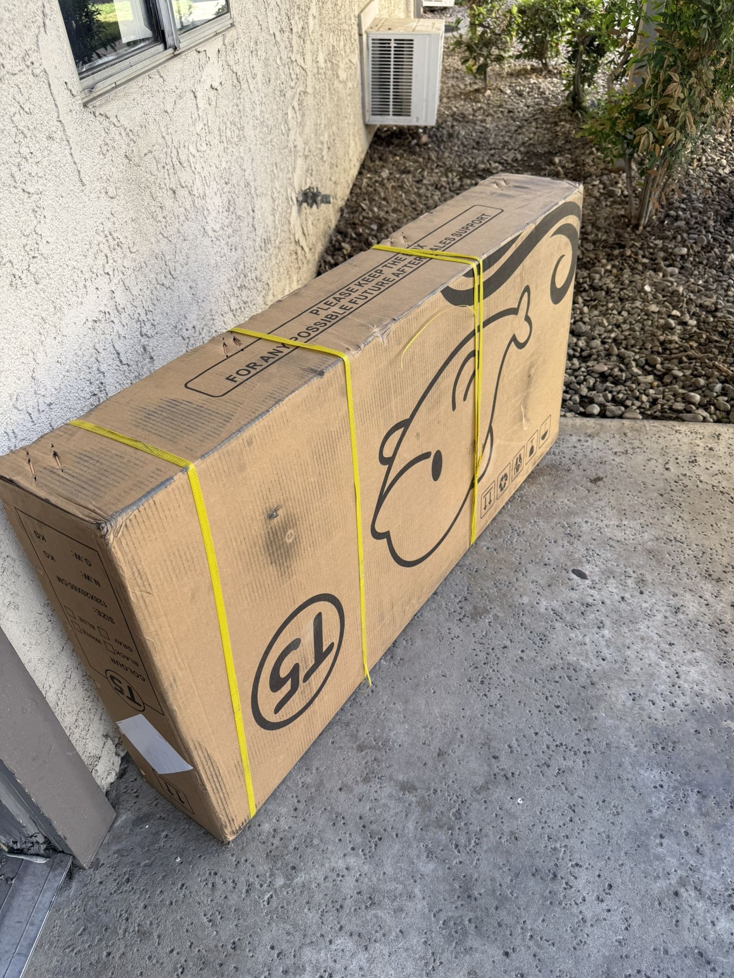 New Electric Bike