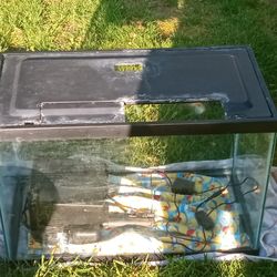 Fish Tank
