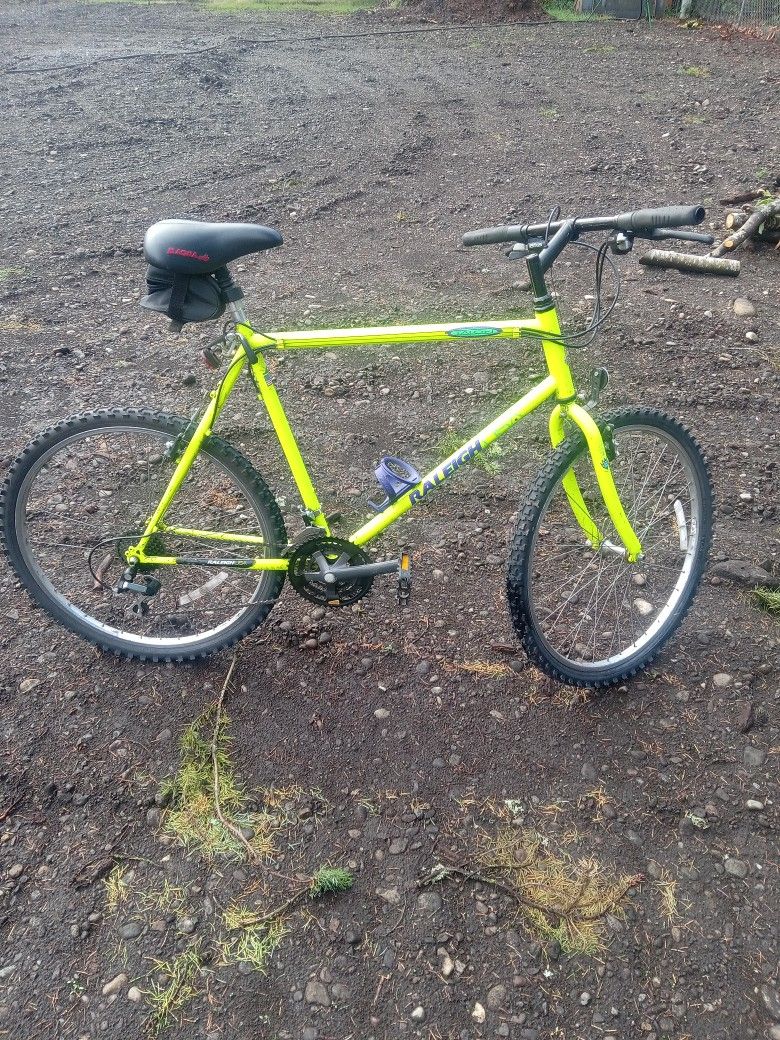 Raleigh Mountain Bike