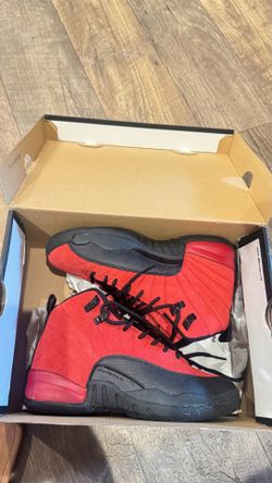 Air Jordan retro 12
