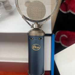Blue Bluebird SL