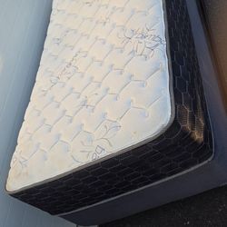 Single Bed Excellent Condition 