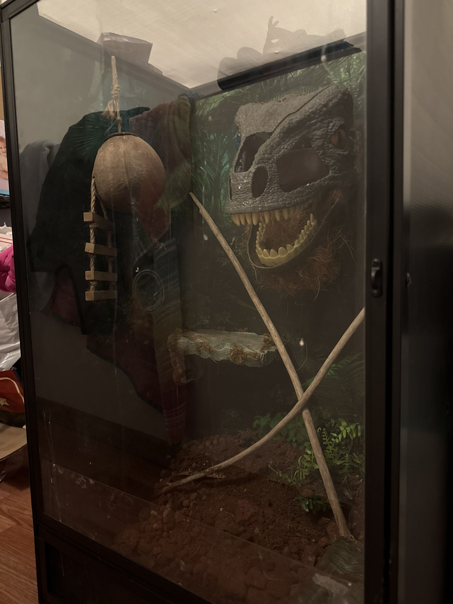 Reptile Enclosure 