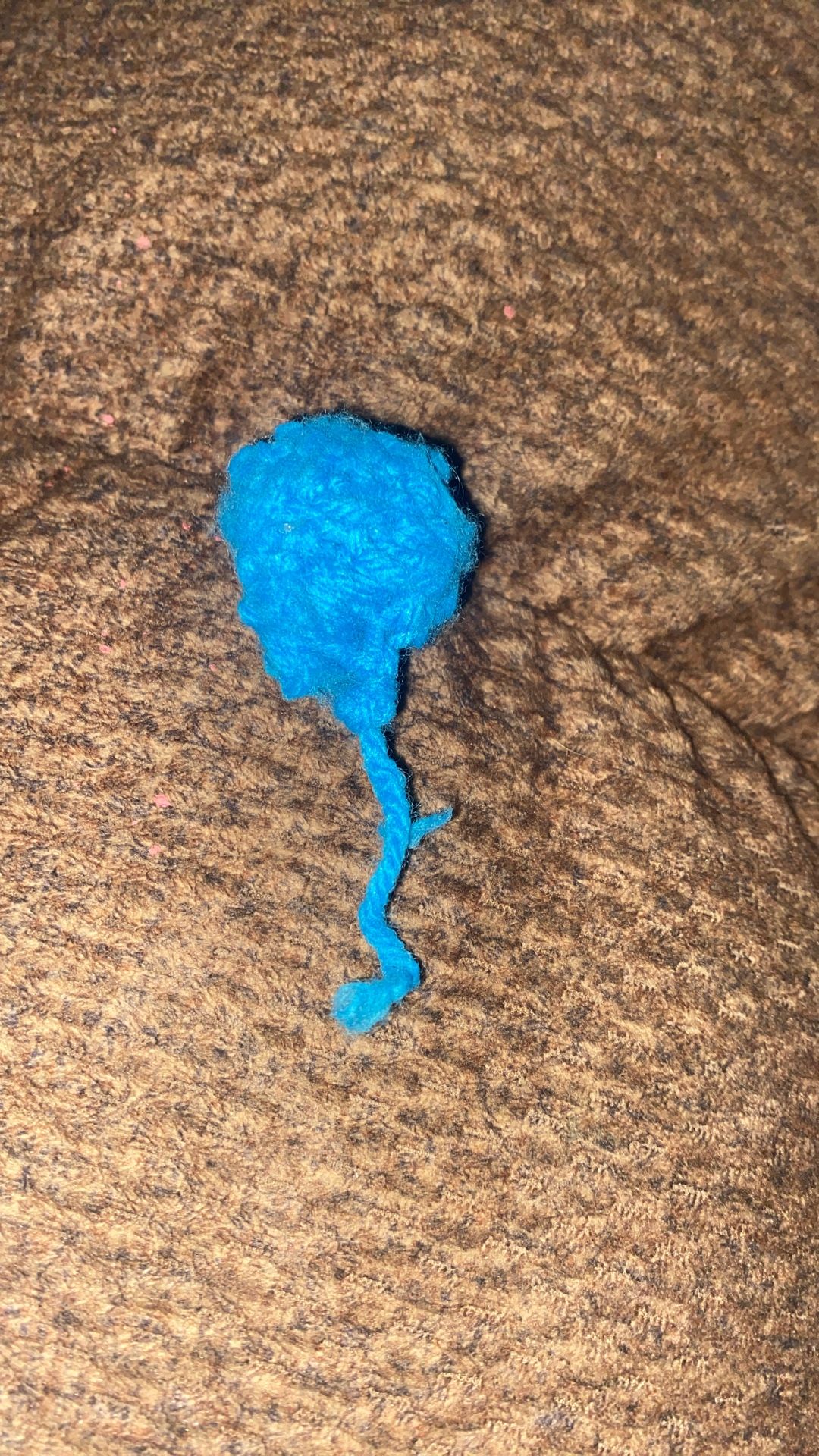 Cat Toy 