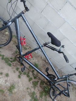 Trek tandem