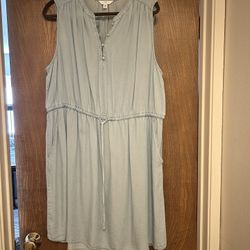 Time and Tru Denim Dress