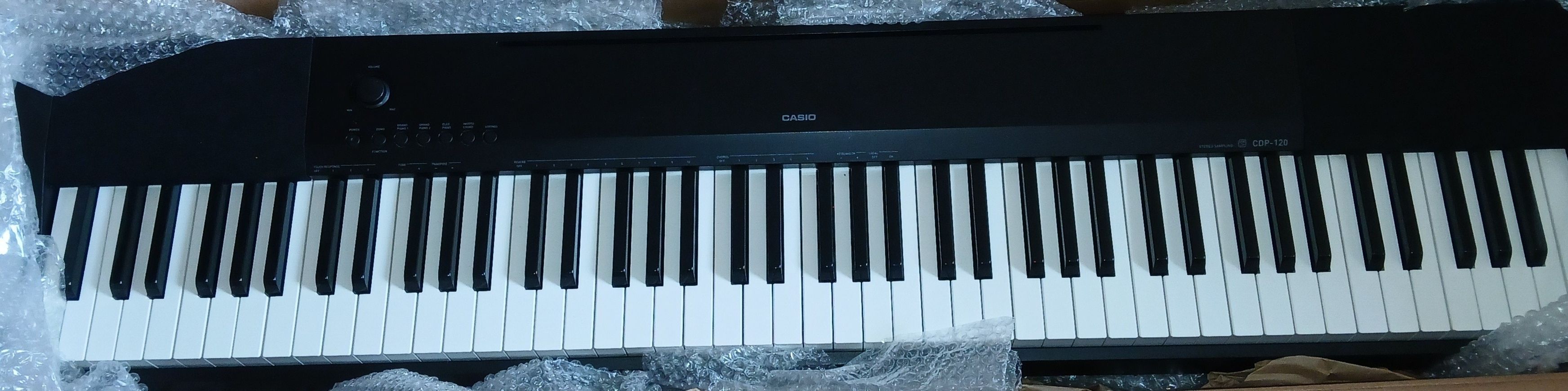 Casio CDP-120 88 Keys