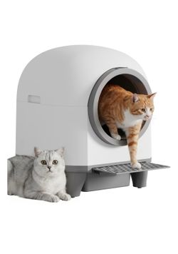 Cat Litter