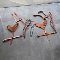 Authentic Leather Dog Harness/Leash