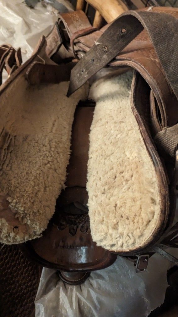 Horse Saddles