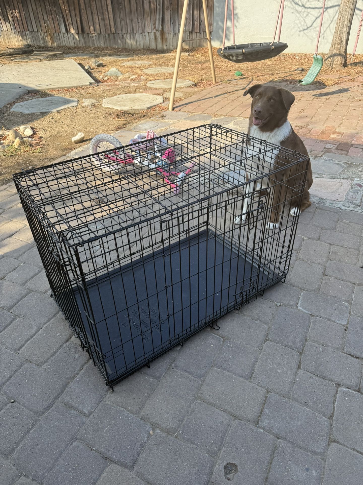 Dog Crate