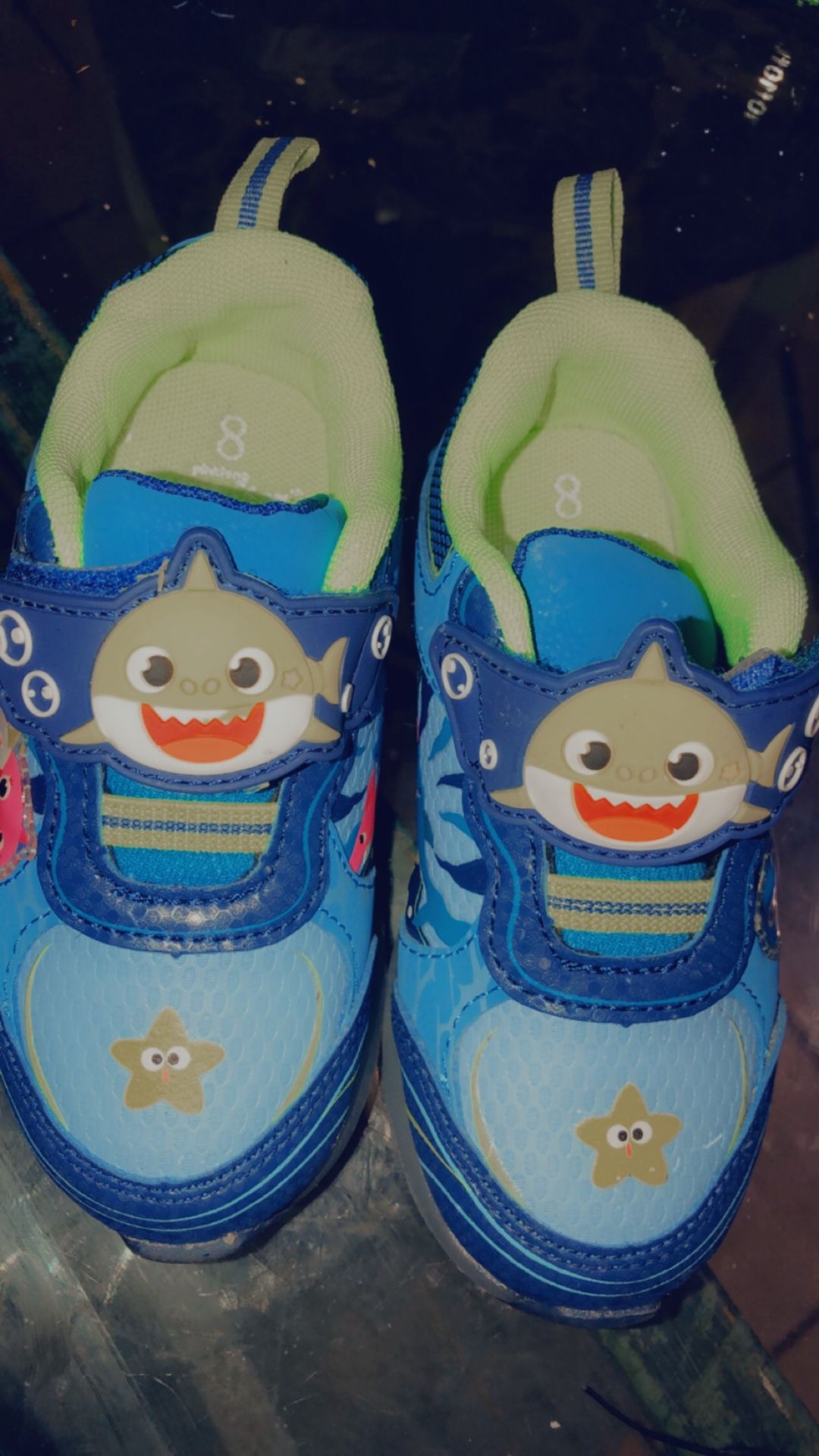 Toddlers Shark Tennis