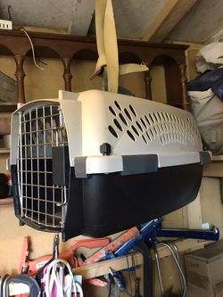 animal cage