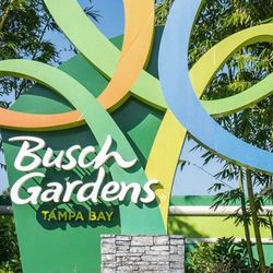4 Busch Gardens Tampa 1 Day Tickets w/ Parking Pass