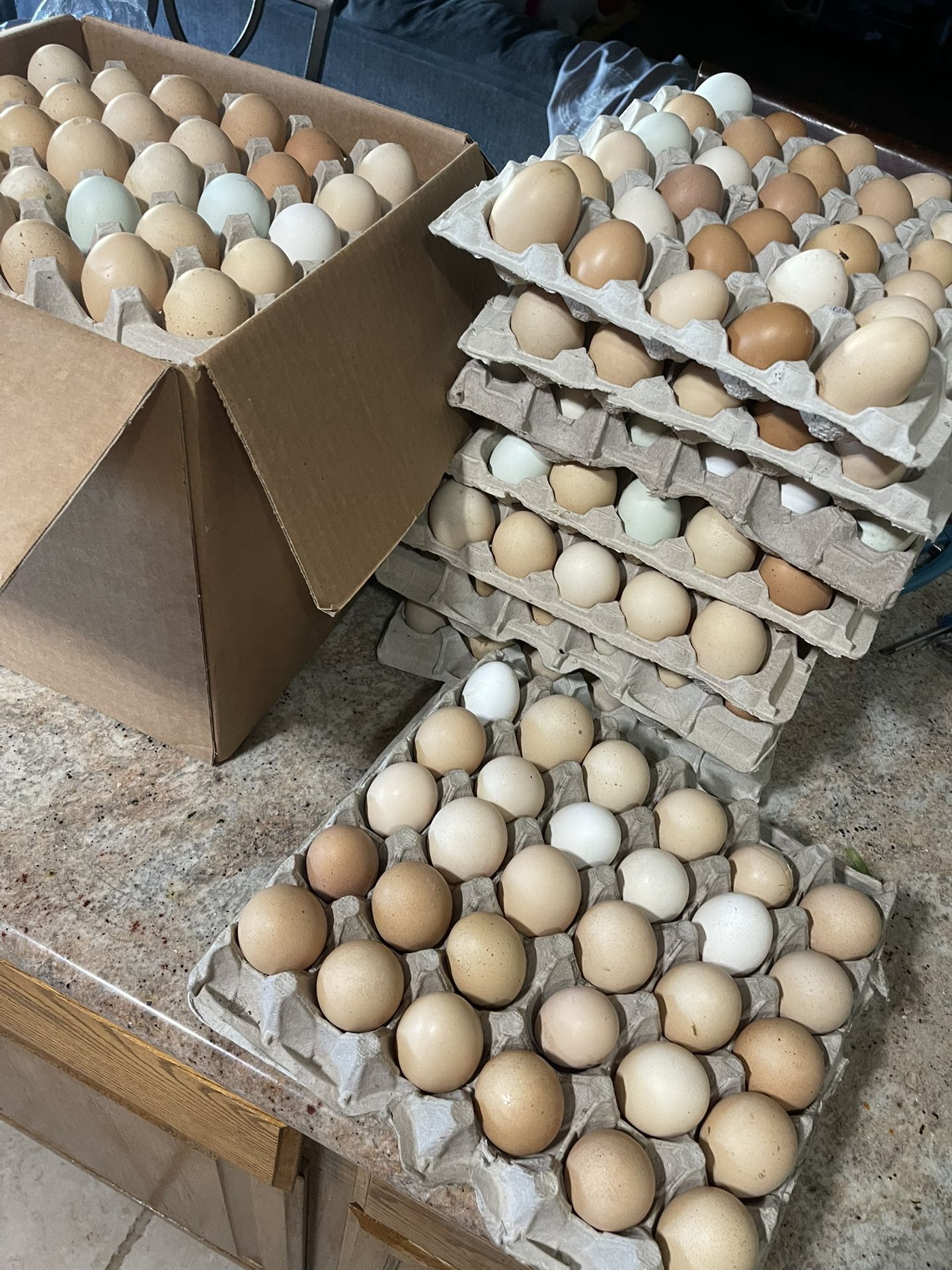 Fresh Eggs 