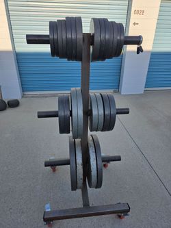 Olympic weights and exercise items