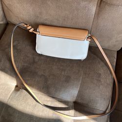 Purse Zara 
