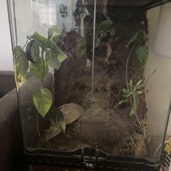 Terrarium 