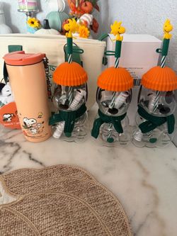 Starbucks Peanuts Snoopy Cold Cup Glass Set