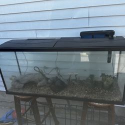 65 Gallon Fish Tank Moving Can’t Fit