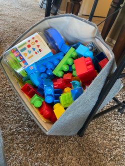 Duplo blocks and bristle blocks