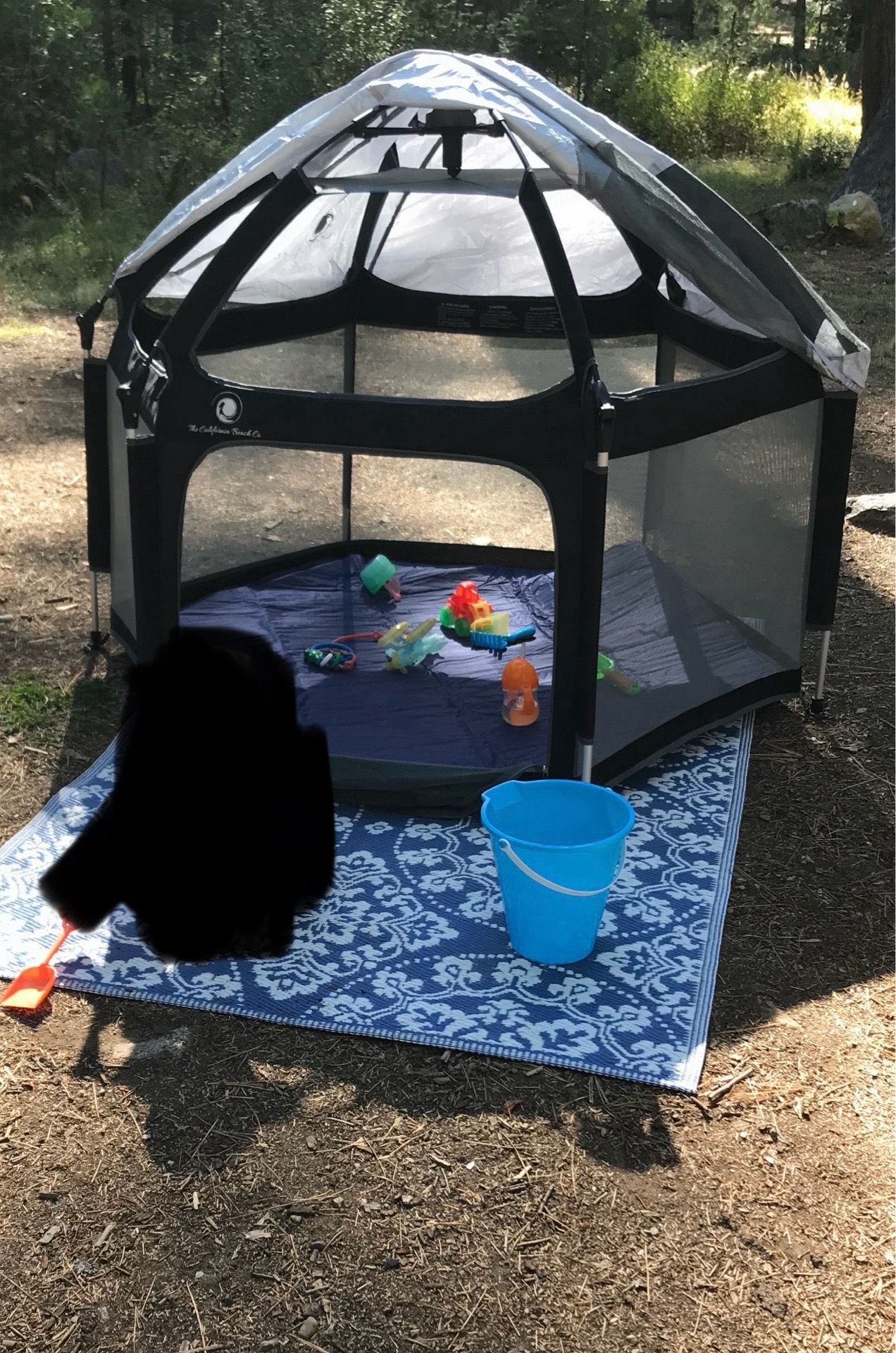 California beach club pop up tent and pad/cover