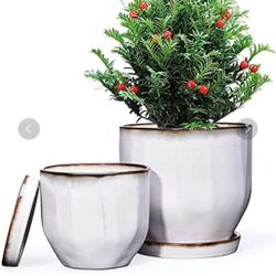 Plant Pots, Set of 2 Ceramic Gardening Pots Planters with Drainage Holes and Saucers (Cream, 7.5 + 5.7") 