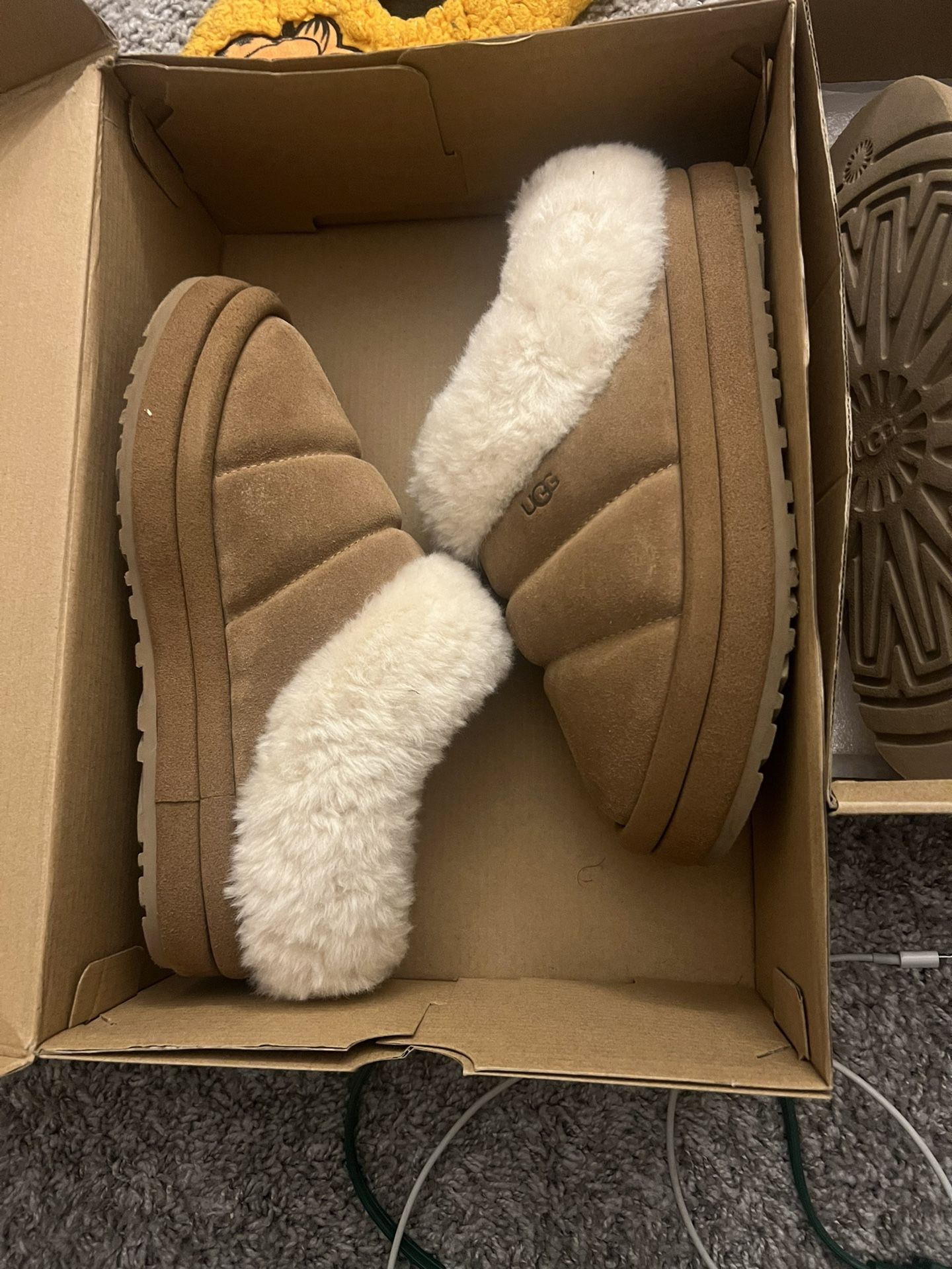 K Tazzlita Size 5 Kids