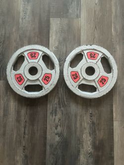 2x 25 lb Weight Plates – $35 OBO – Pickup Only