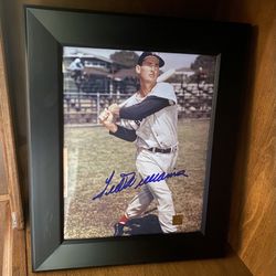 Ted Williams Authenticated Autographed 8x10