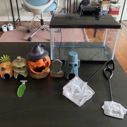 10 Gallon Tank And Accessories 