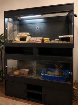 2  120 gal terrarium