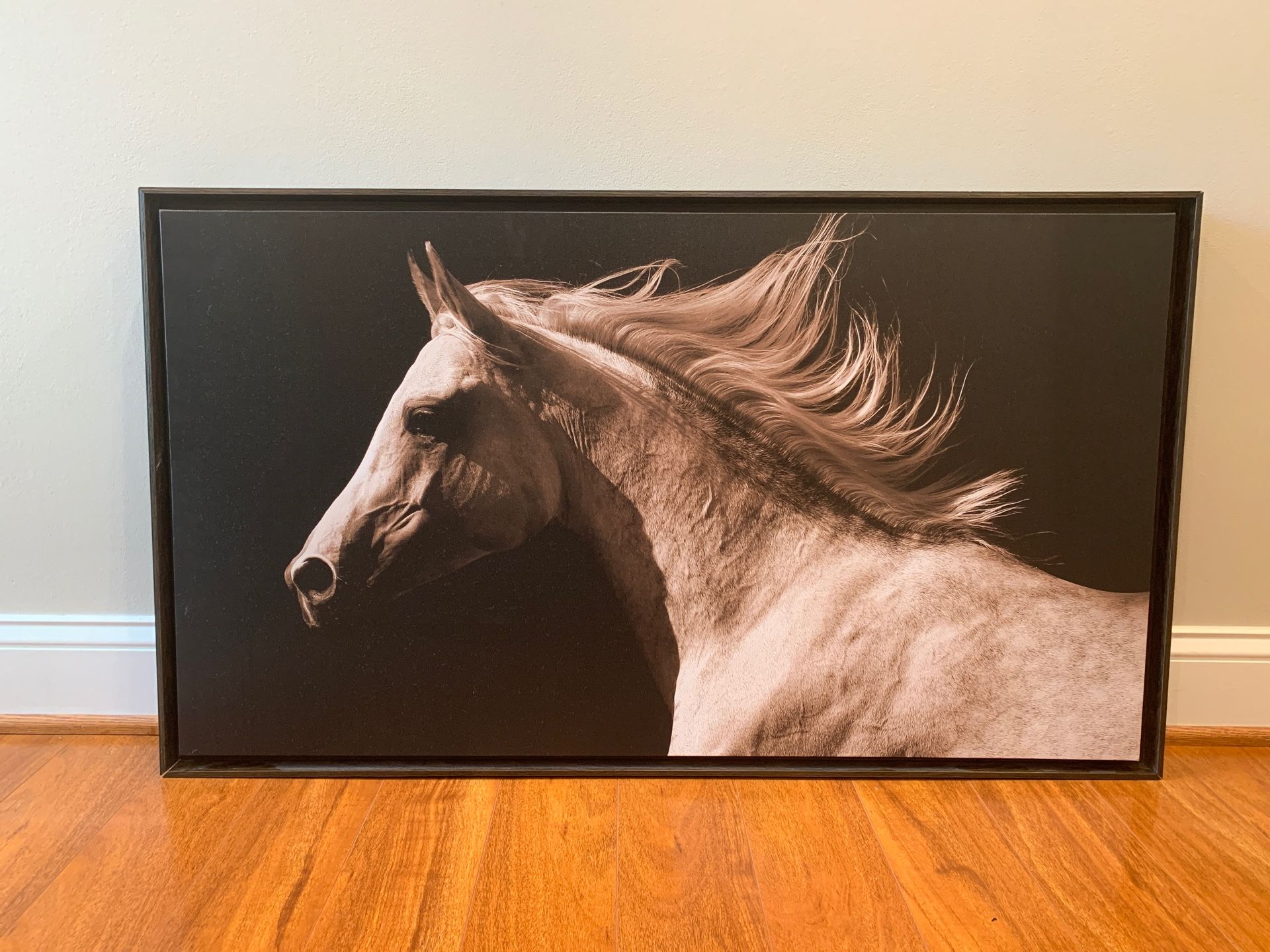 Canvas Horse Wall Art In Frame