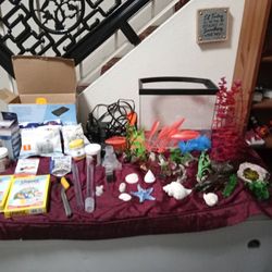 Fish Items N Tank