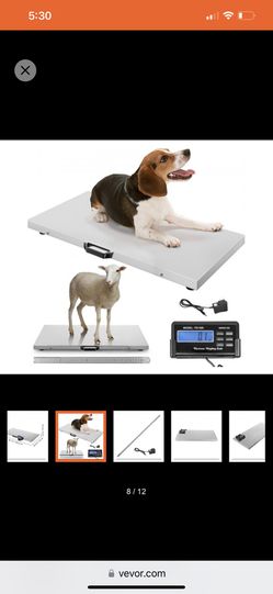 VEVOR 1100Lbs x 0.2Lbs Digital Livestock Scale Large Pet Vet Scale  Stainless Steel Platform Electronic Postal Shipping Scale Heavy Duty Large  Dog Hog for Sale in Rancho Cucamonga, CA - OfferUp