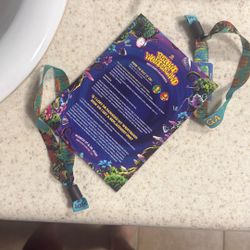 Beyond Wonderland GA Tickets