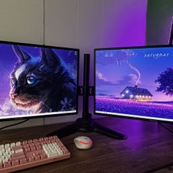 2 Monitors 