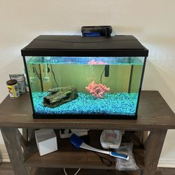 Fish Tank 