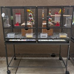 Bird cage