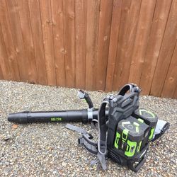 Ego Commercial Backpack Blower with two 6 Ah Batteries