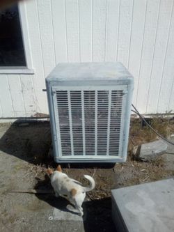 Swamp Cooler Bottom Draft