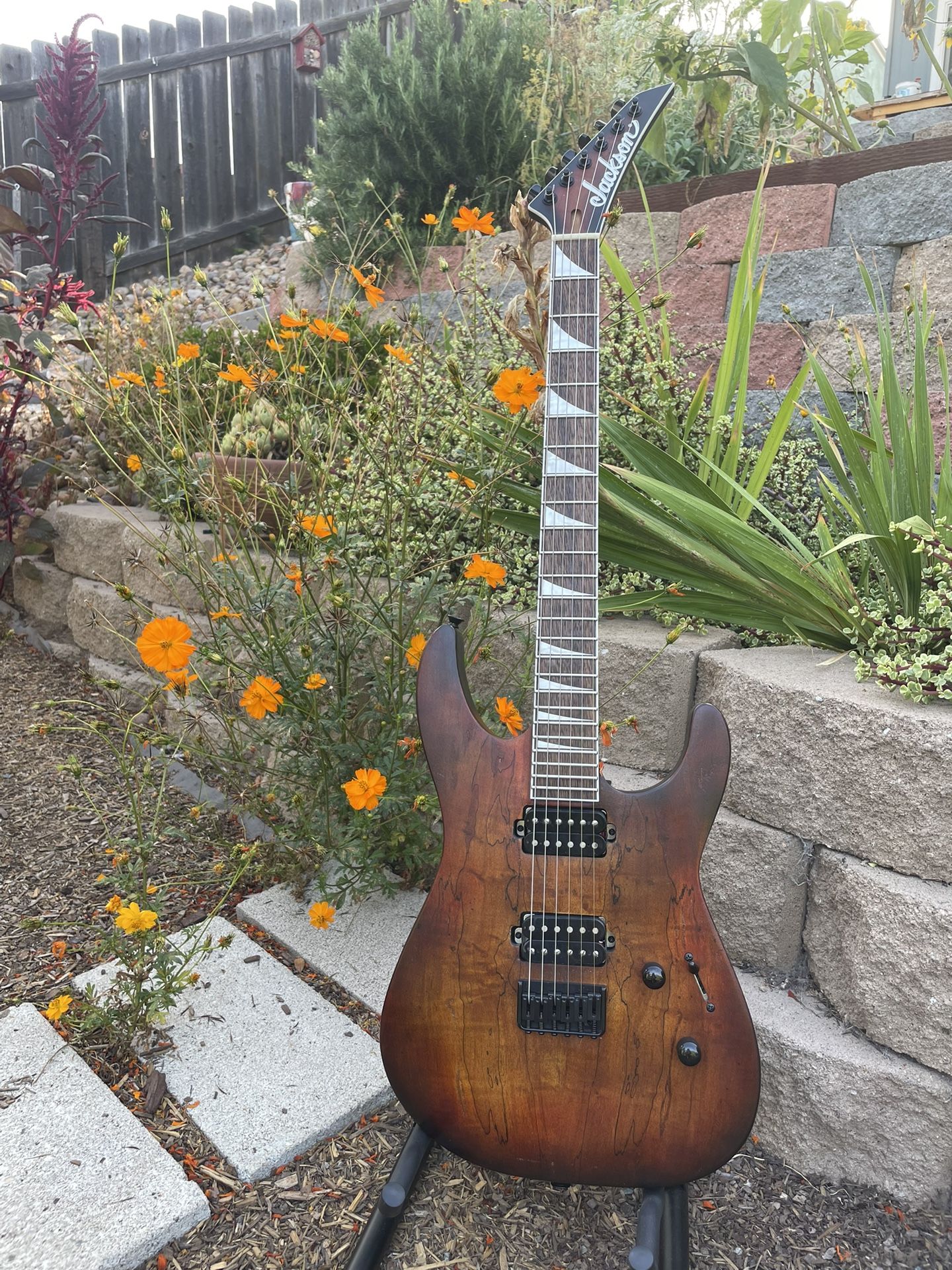 JACKSON SOLOIST