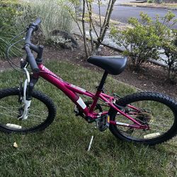 Girls mountain bike 20” Pink