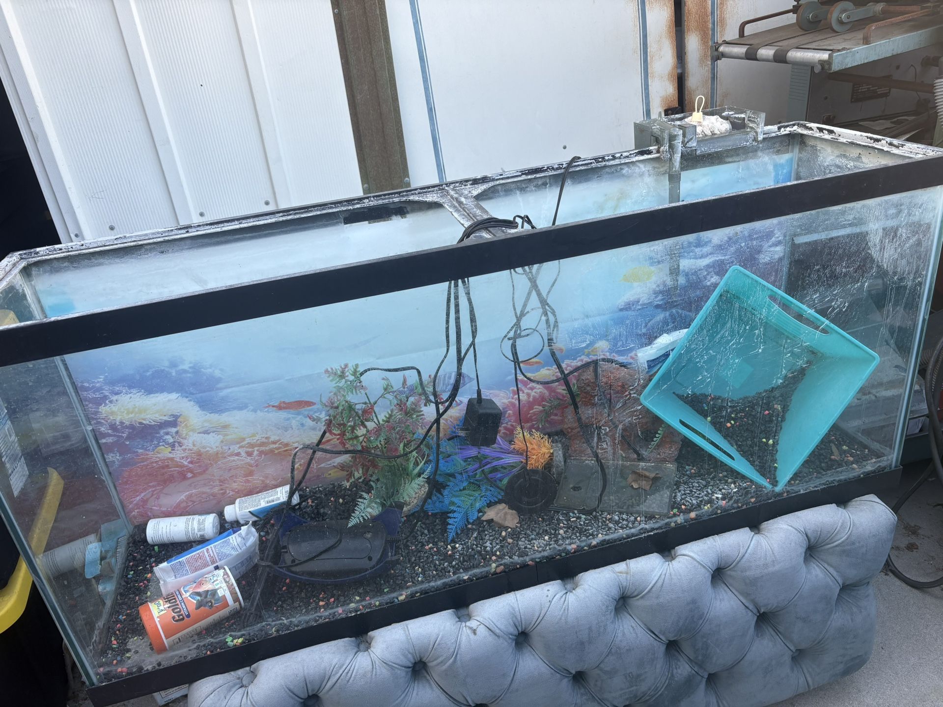 Fish Tank