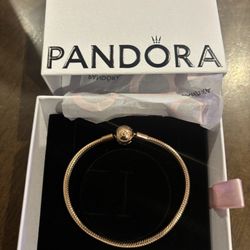Pandora Charm Bracelet