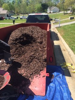 Mulch